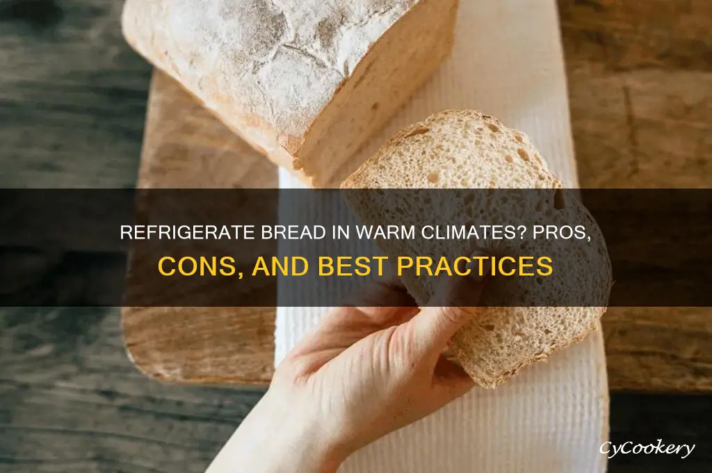should you refrigerate bread in warmer climates