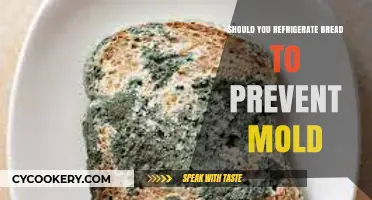 Refrigerate Bread to Prevent Mold: Fact or Fiction?