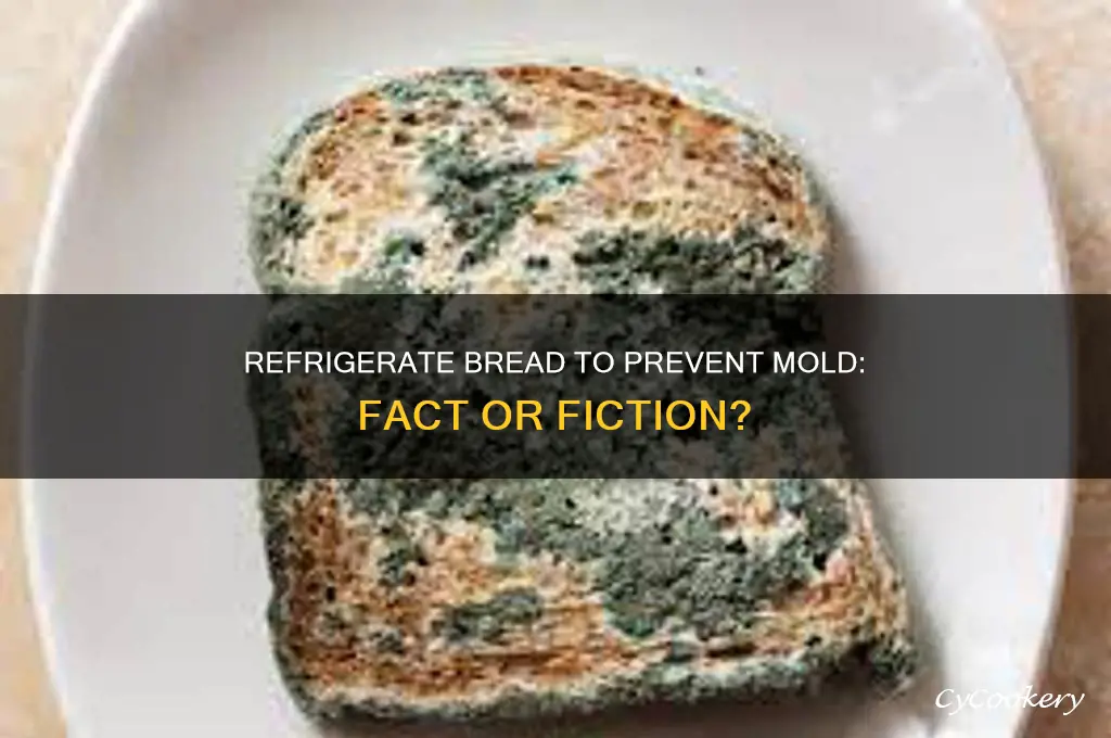 should you refrigerate bread to prevent mold