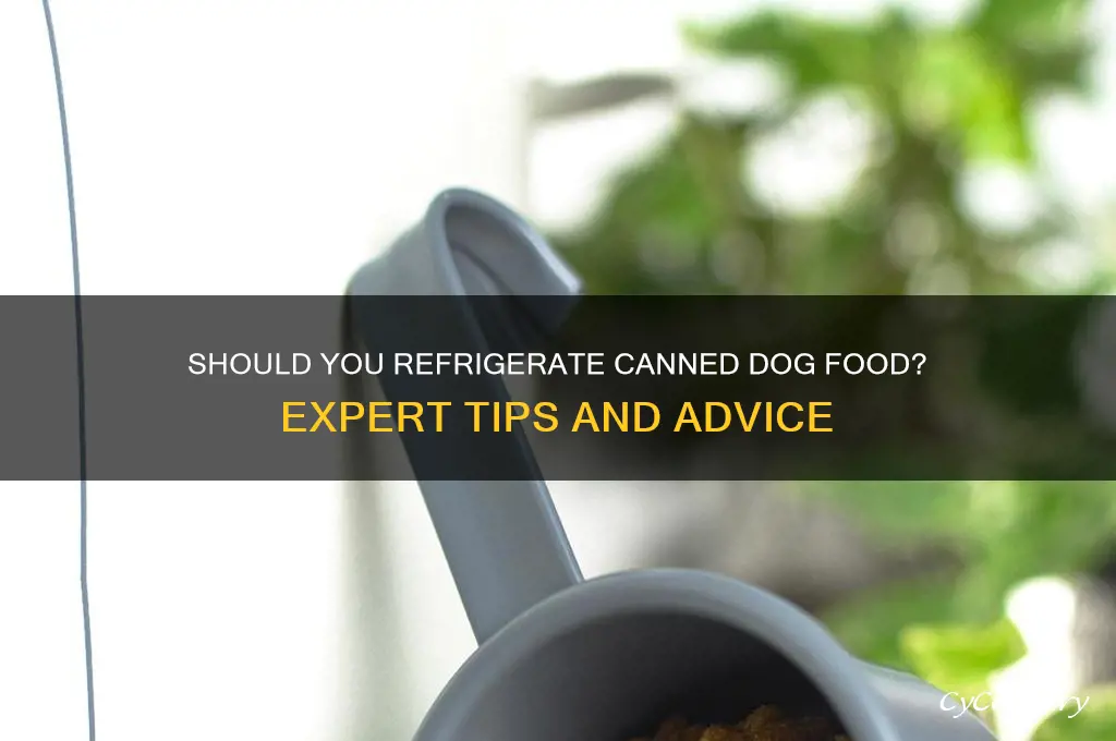 should you refrigerate canned dog fod