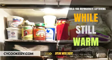 Refrigerating Warm Leftovers: Safe Practice or Culinary Mistake?