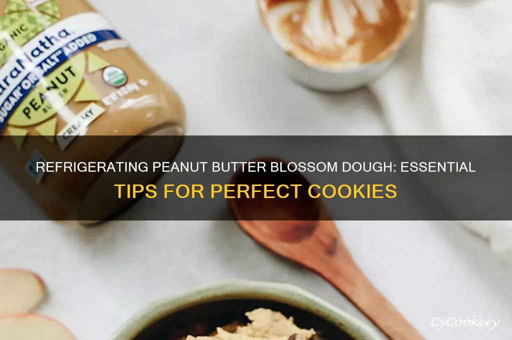 should you refrigerate peanut butter blossom dough