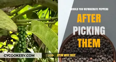 Refrigerate Peppers Post-Picking: Essential Tips for Freshness and Longevity