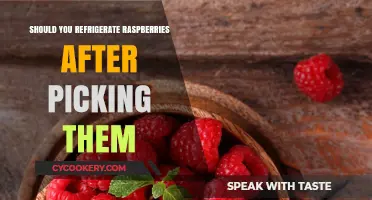 Refrigerate Raspberries After Picking: Best Practices for Freshness and Flavor