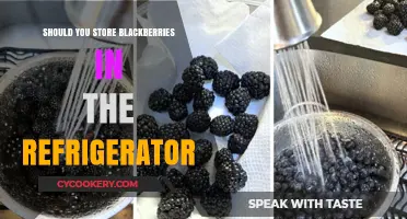 Should You Refrigerate Blackberries? Freshness and Storage Tips Revealed
