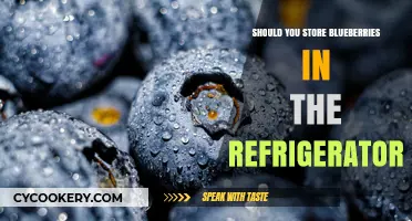 Refrigerate or Not? The Best Way to Store Blueberries Fresh