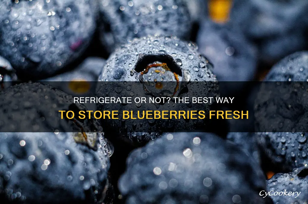 should you store blueberries in the refrigerator