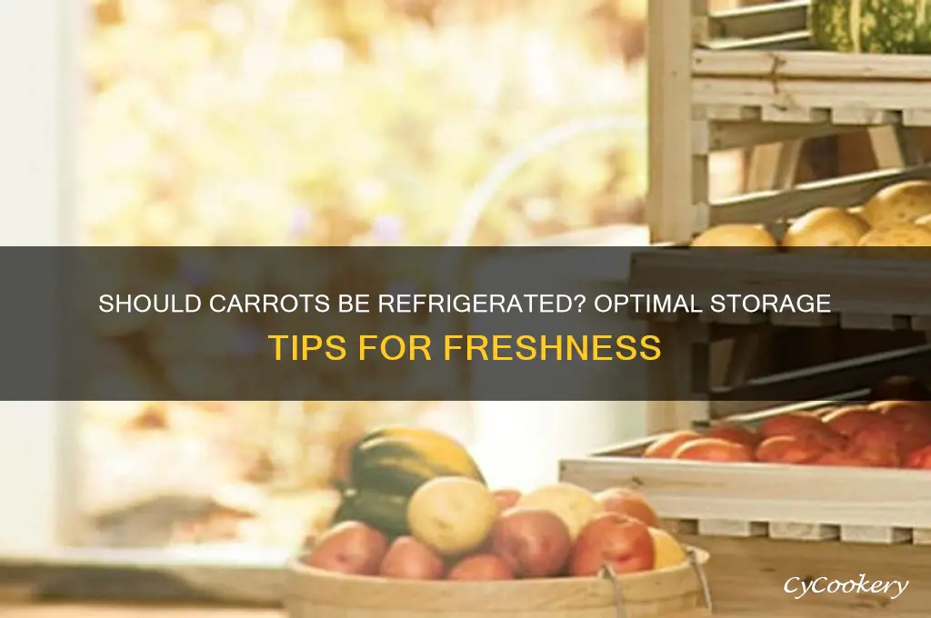 should you store carrots in the refrigerator