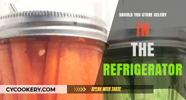 Should You Store Celery in the Fridge? Freshness Tips Revealed