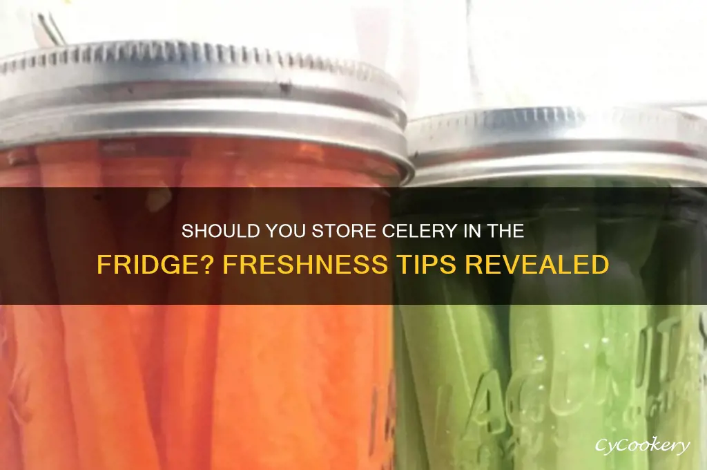 should you store celery in the refrigerator