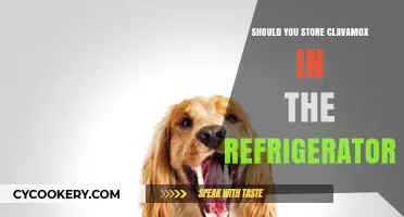 Should You Refrigerate Clavamox? Storage Tips for Pet Antibiotics