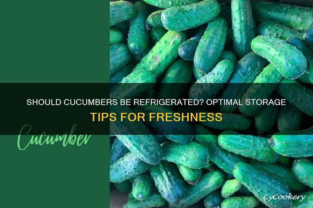 should you store cucumbers in the refrigerator