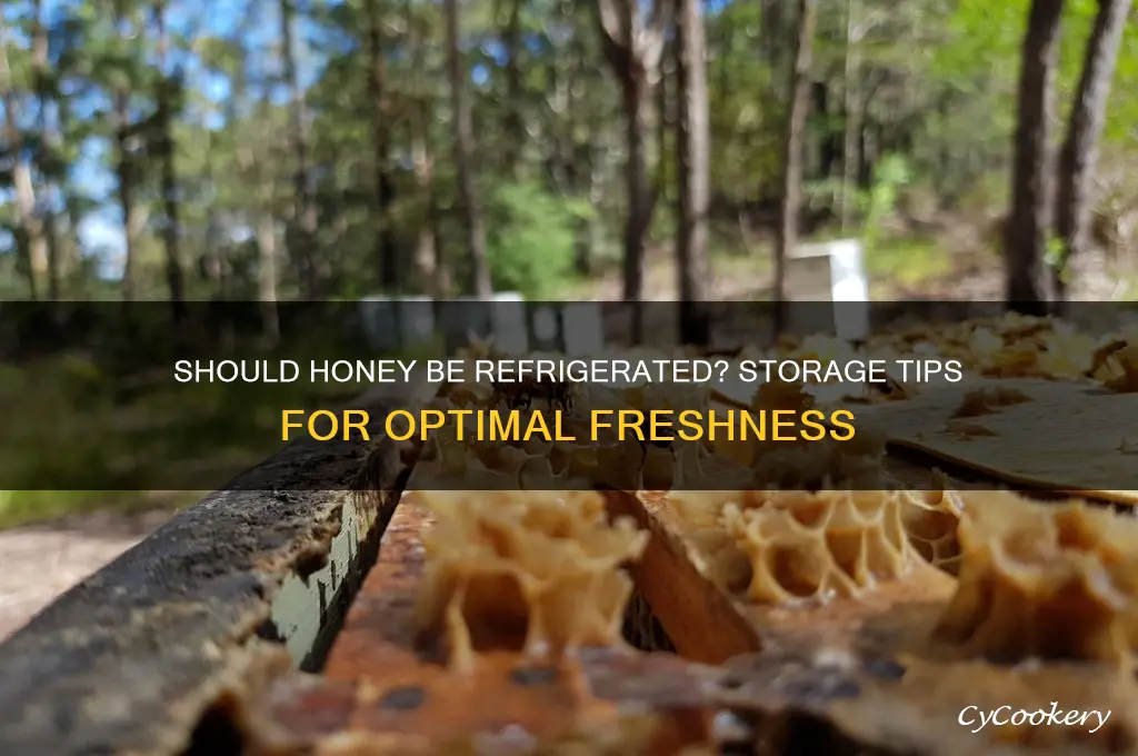 should you store honey in the refrigerator