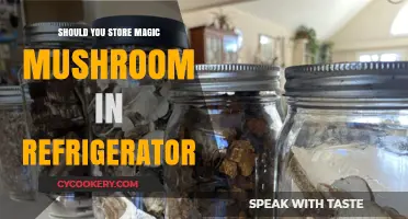 Should You Refrigerate Magic Mushrooms? Storage Tips for Freshness