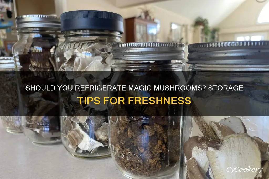should you store magic mushroom in refrigerator