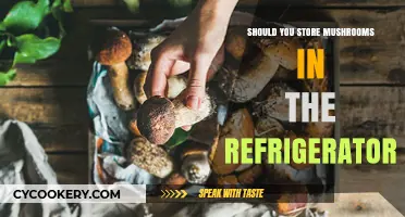 Refrigerate or Not? The Best Way to Store Mushrooms Fresh