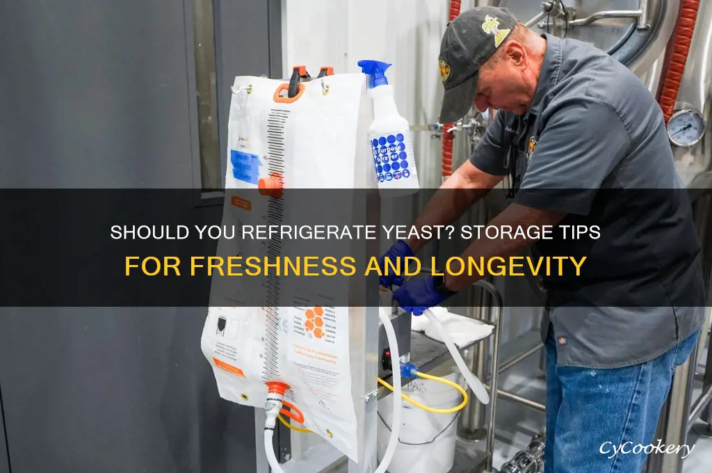 should you store yeast in the refrigerator