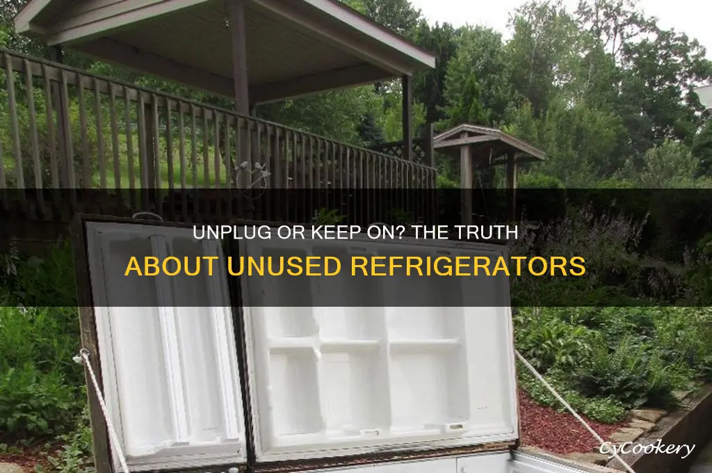 should you umplug unused refrigerator not use