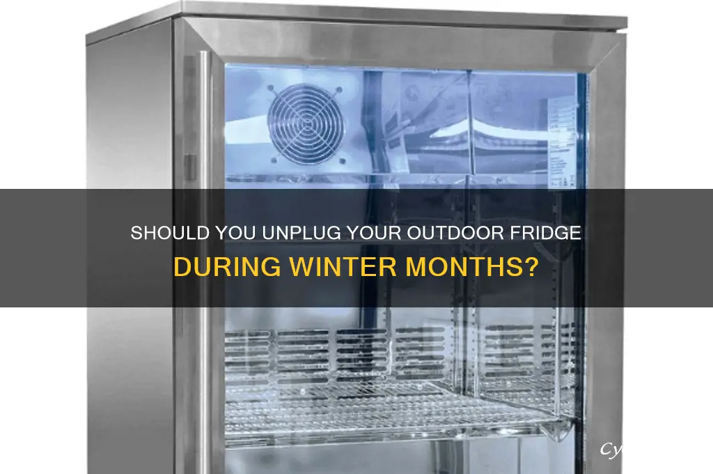 should you unplug outdoor refrigerator in winter