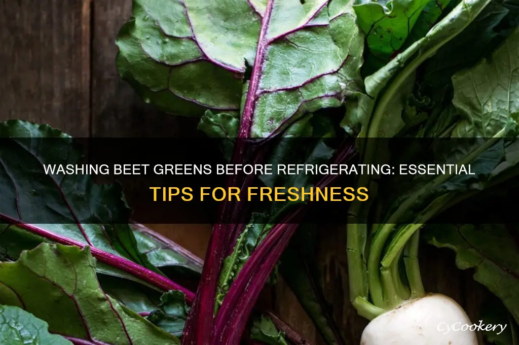 should you wash beet greens before refrigerating