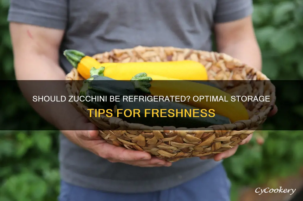 should zucchini be stored in the refrigerator