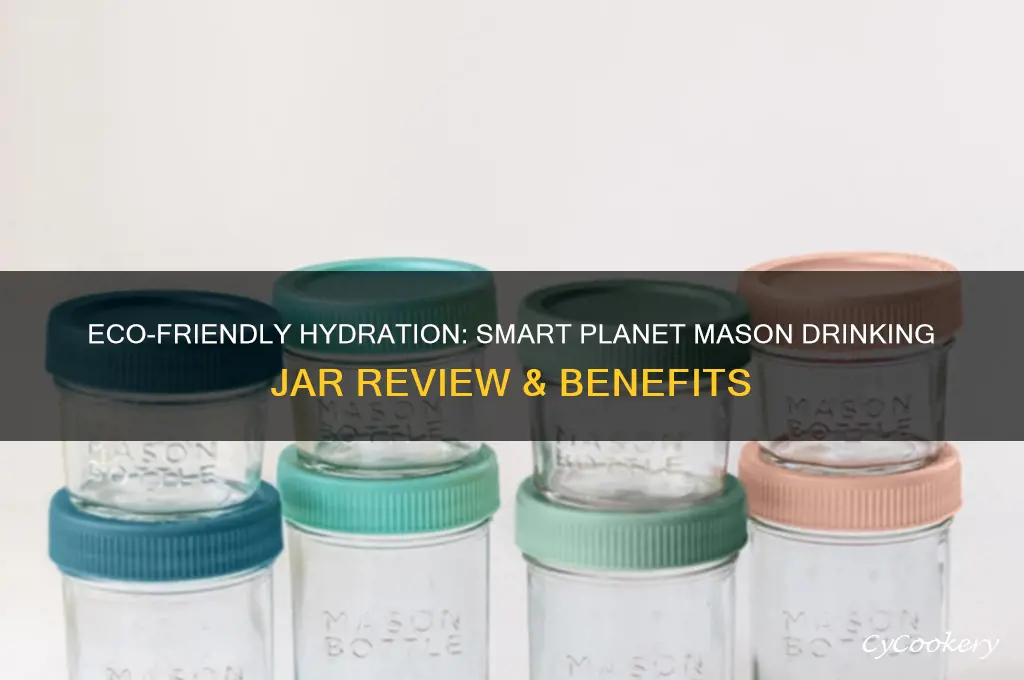 smart planet mason drinking jar