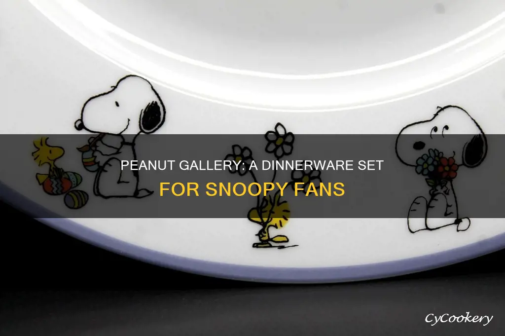 snoopy dinnerware set