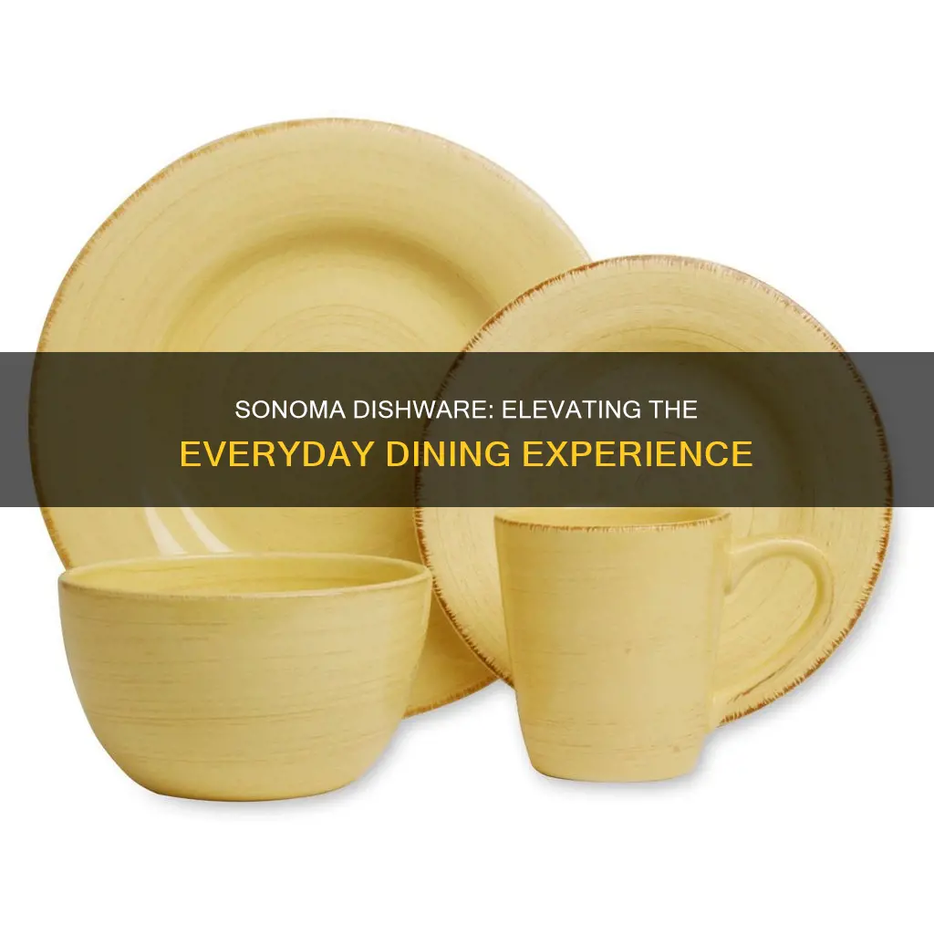 sonoma dishware