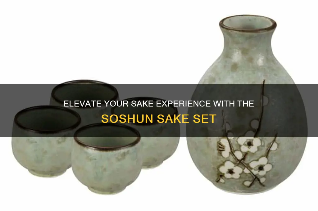 soshun sake set
