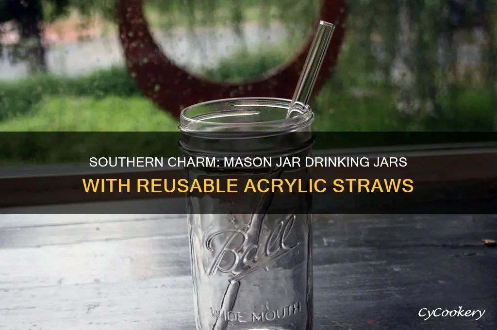 southern homewares jar drinking jar mason jar acrylic reusable straw