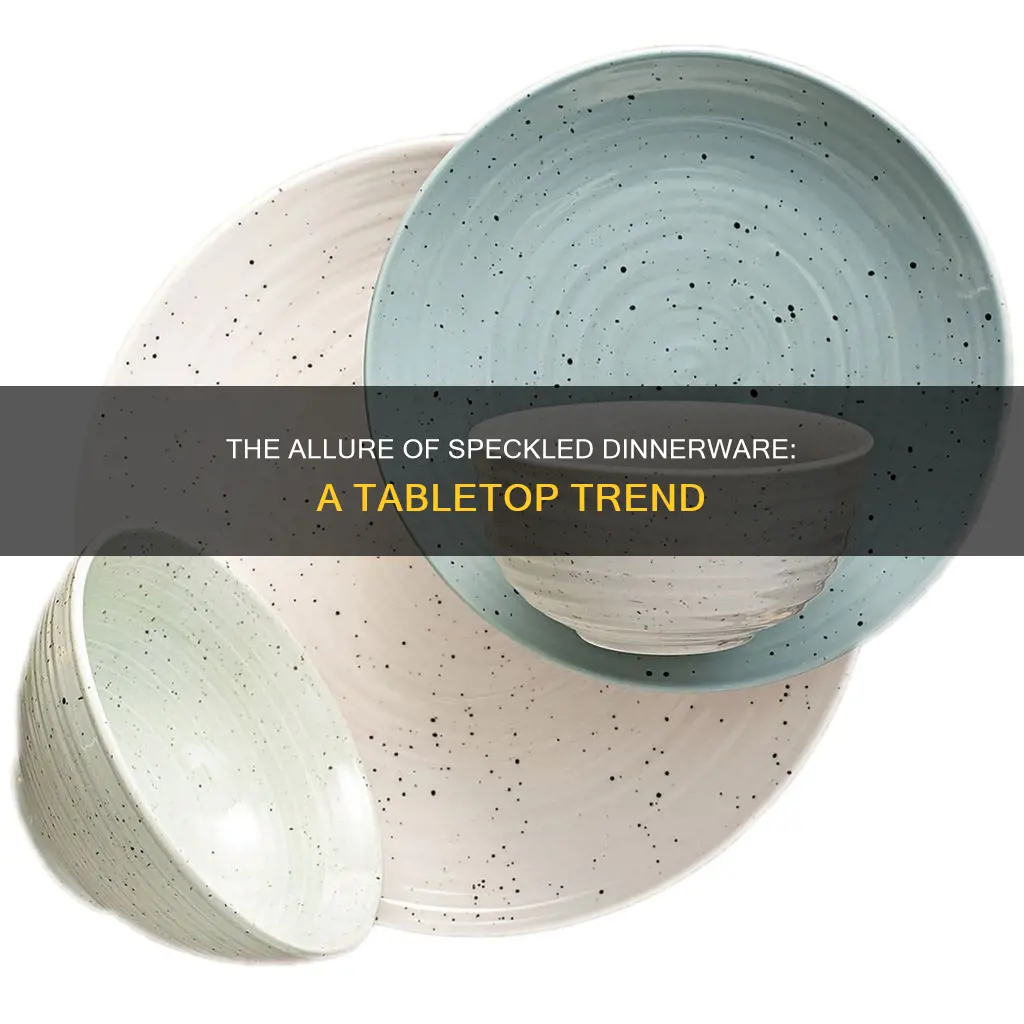 speckle dinnerware set