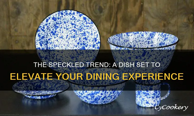 speckled dish set