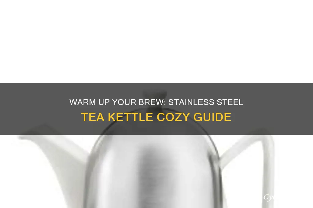 stainless steel tea kettle cozy