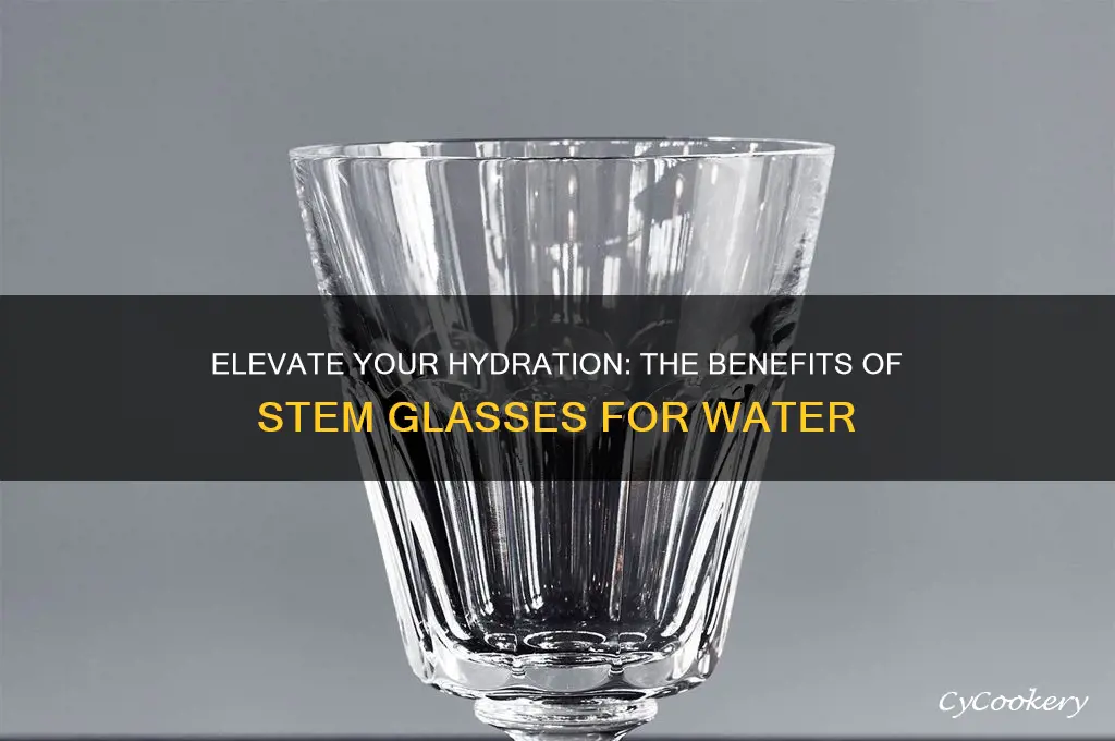 stem glasses for water