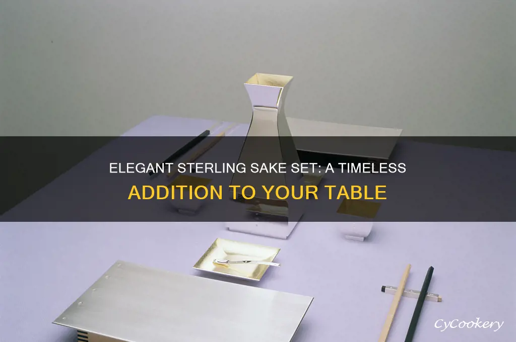 sterling sake set