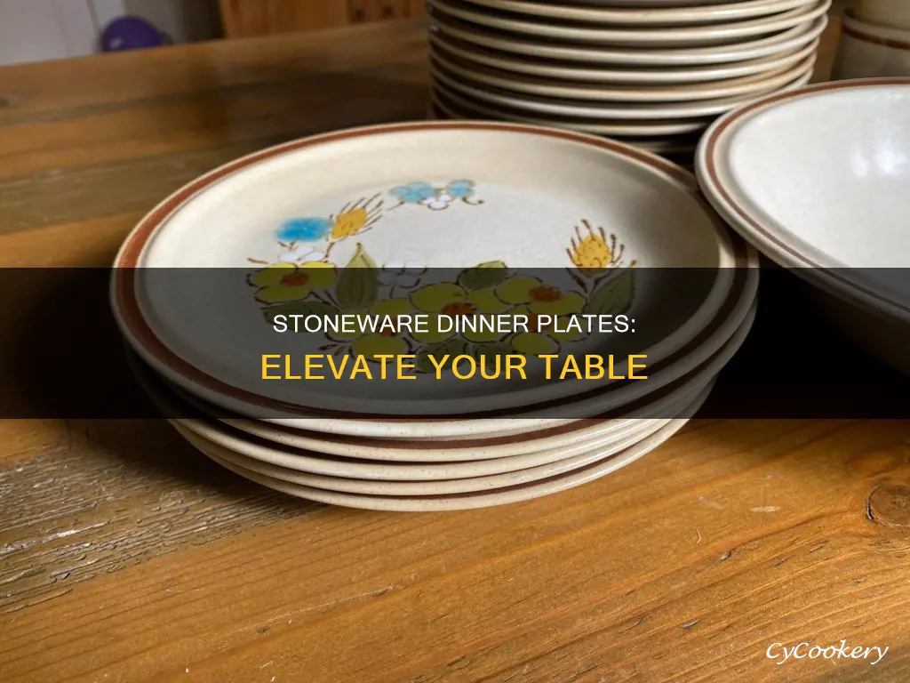 stoneware dinner plates