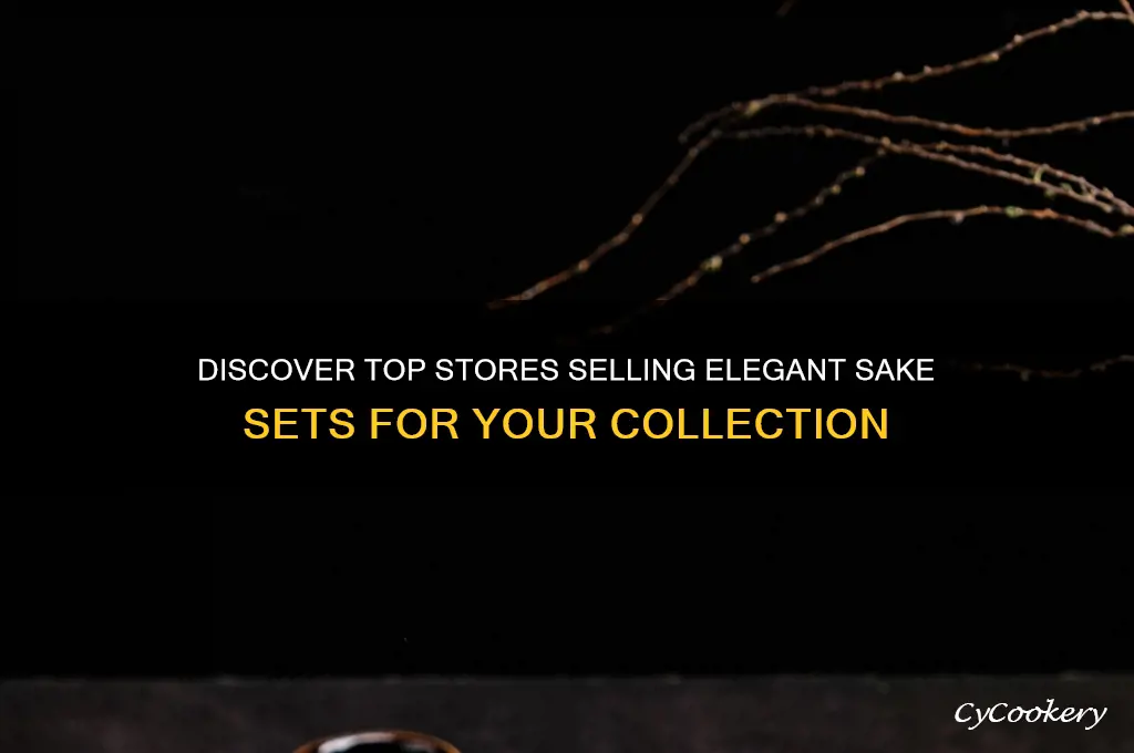 stores that sell sake sets