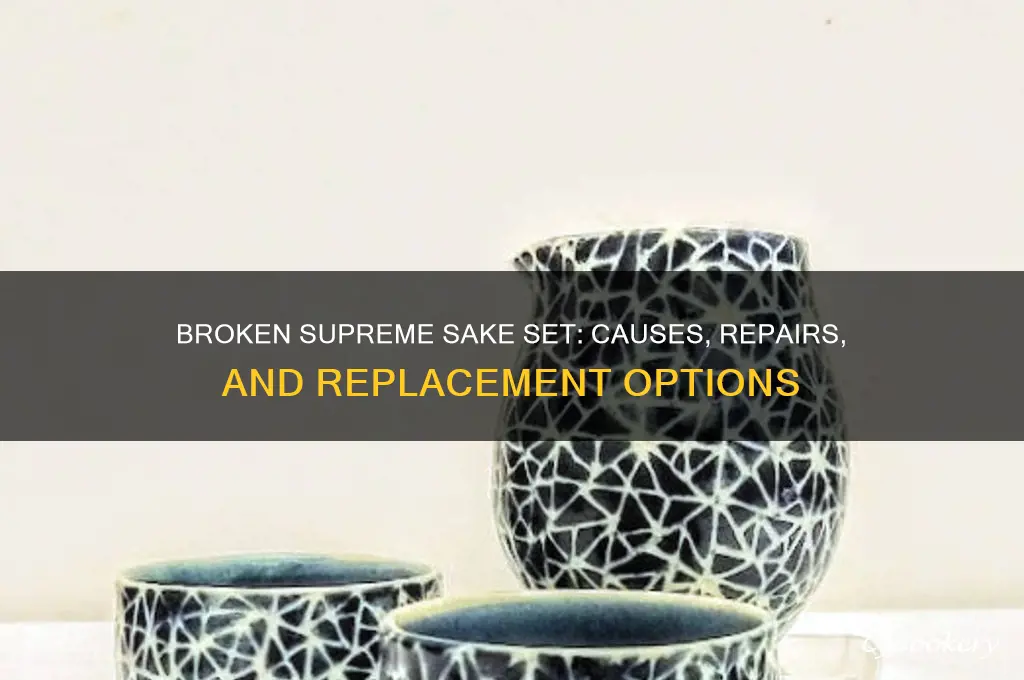 supreme sake set broken