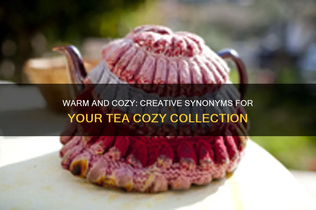 synonyms for tea cozy