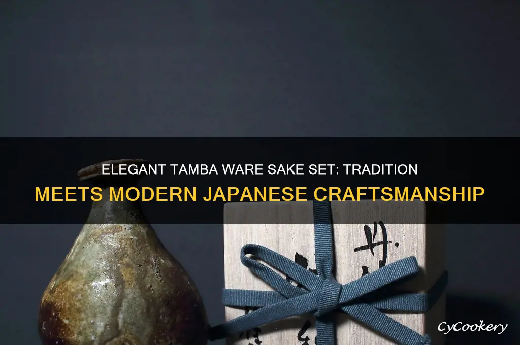 tamba ware sake set