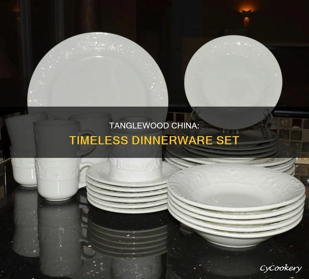 tanglewood china dinnerware set