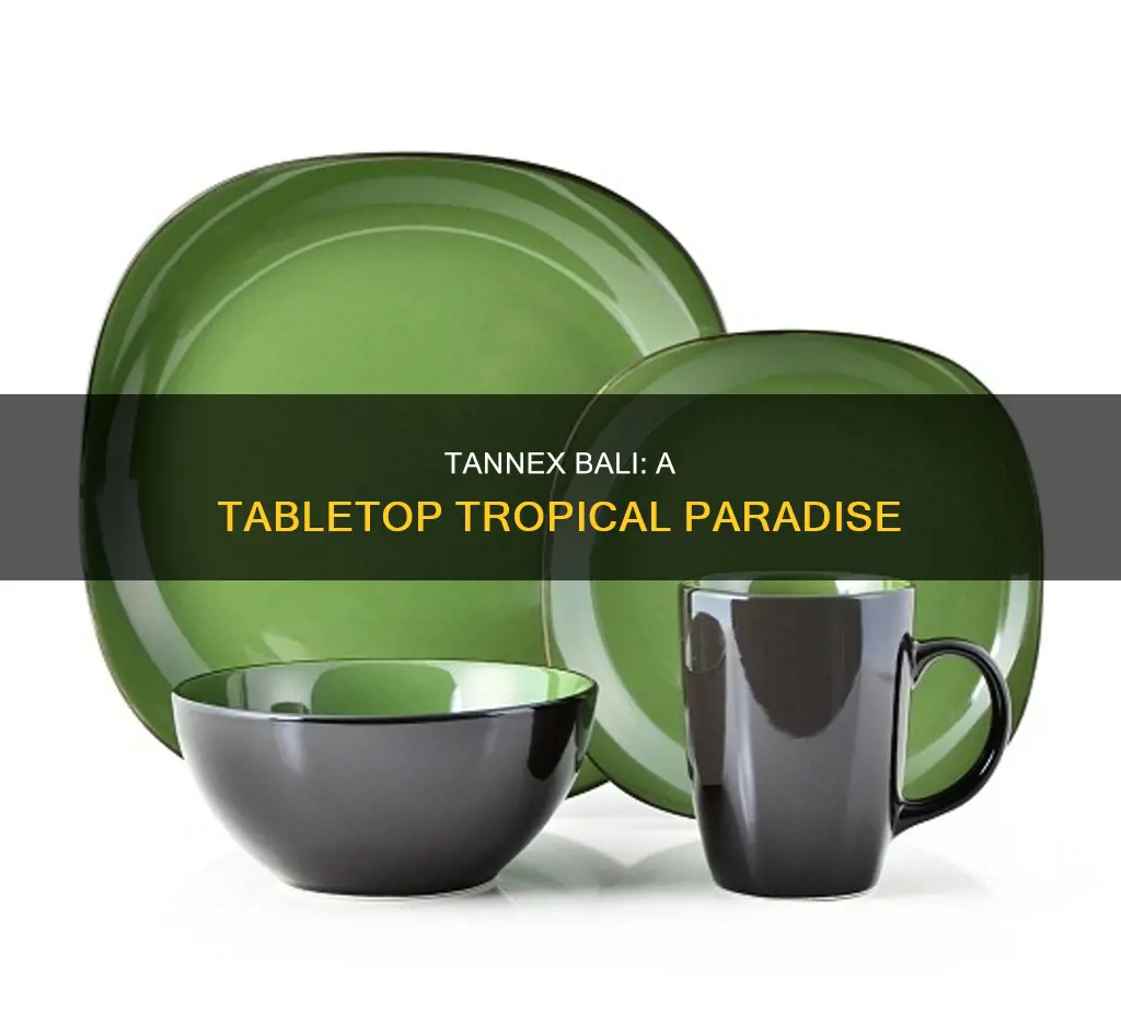 tannex bali dinnerware set