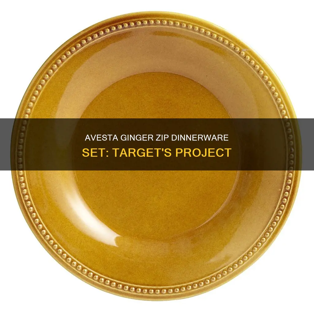 target project 62 avesta ginger zip dinnerware set