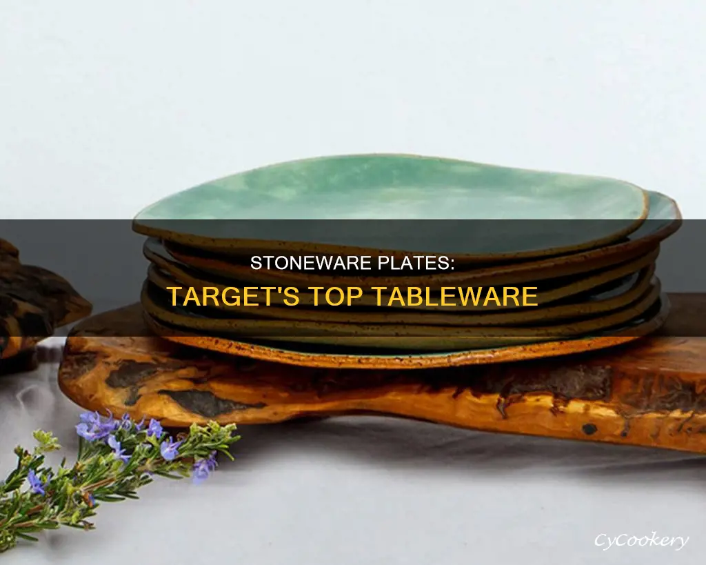 target stoneware plates