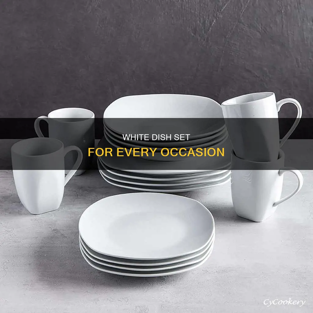 target white dish set