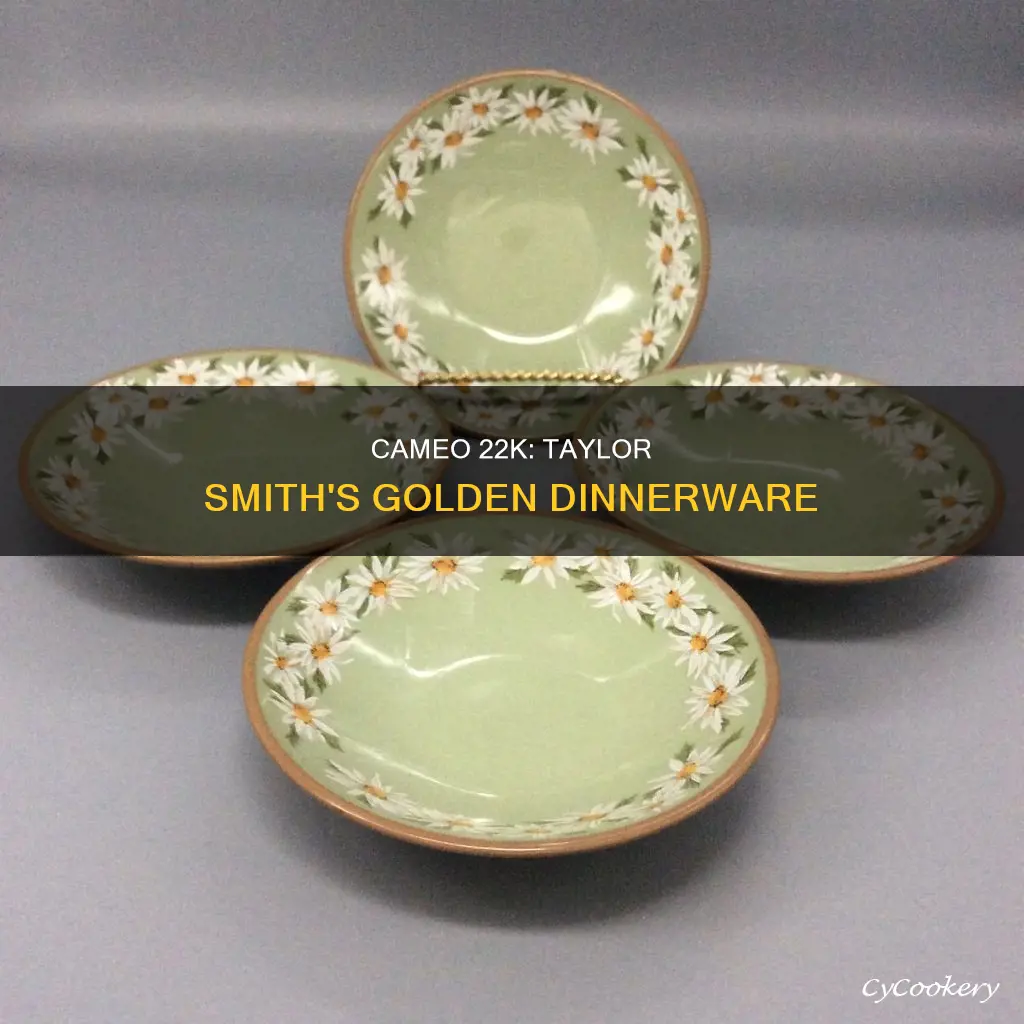 taylor smith cameo 22k complete dinnerware set