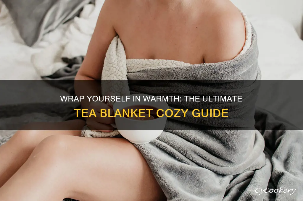 tea blanket cozy