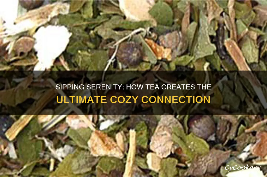 tea connection with cozy