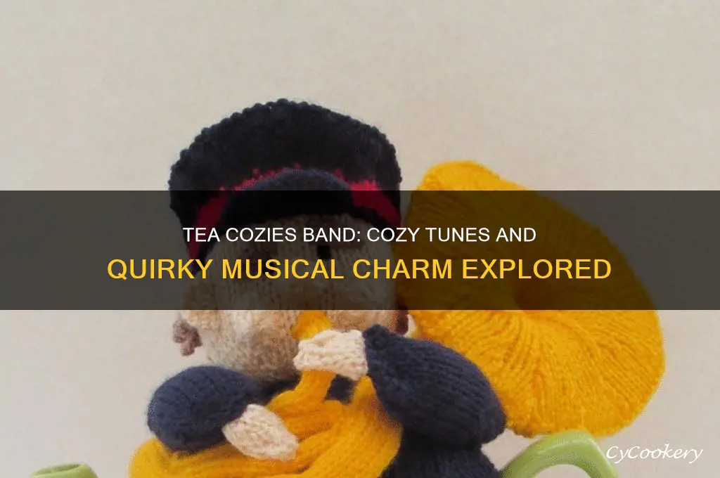 tea cozies band