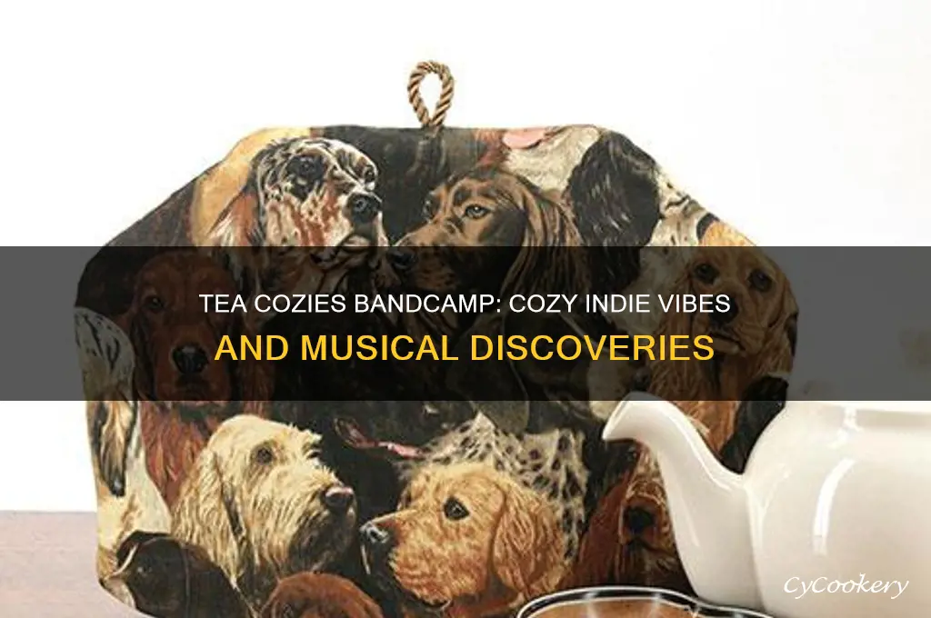tea cozies bandcamp